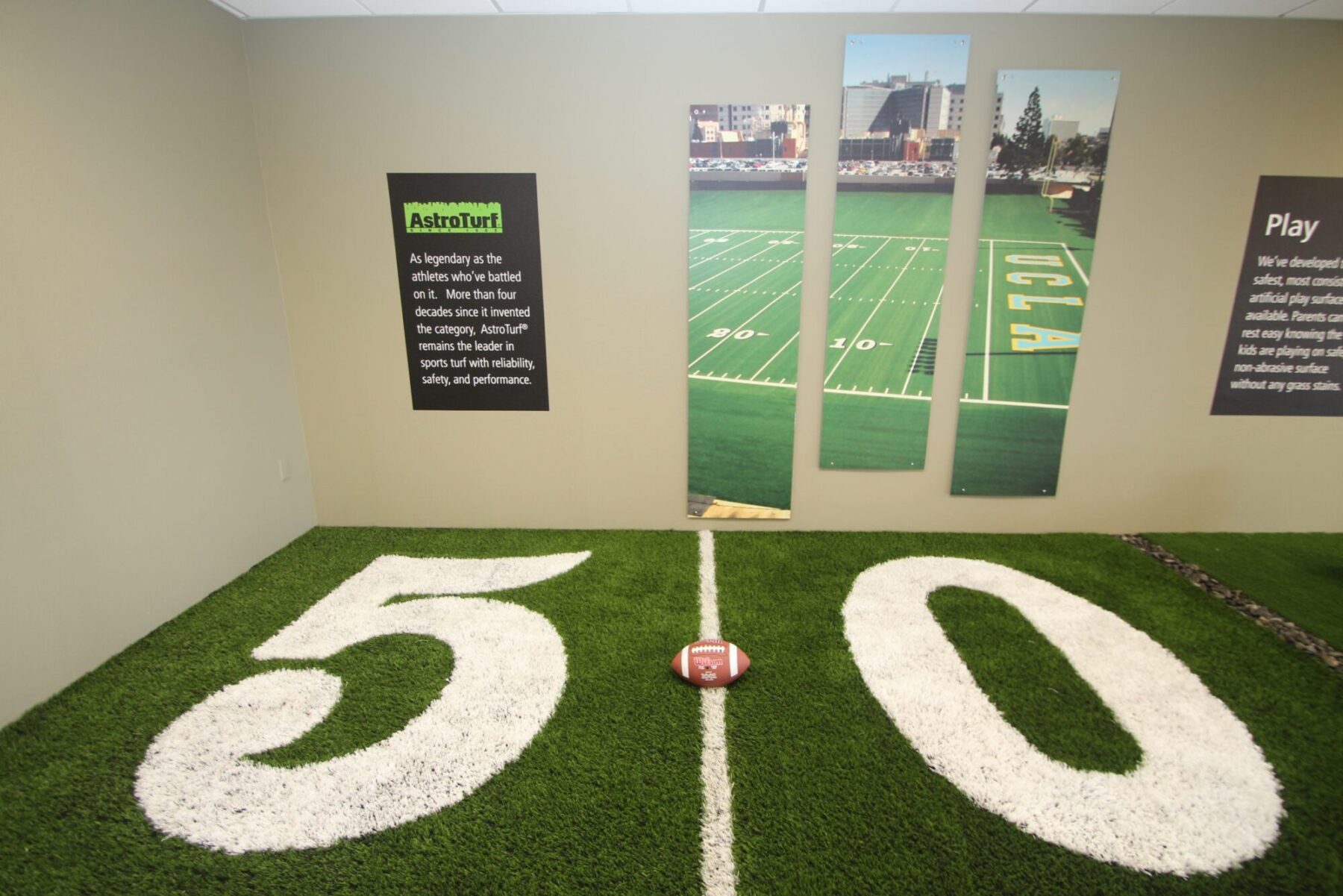 commercial, artificial grass showroom