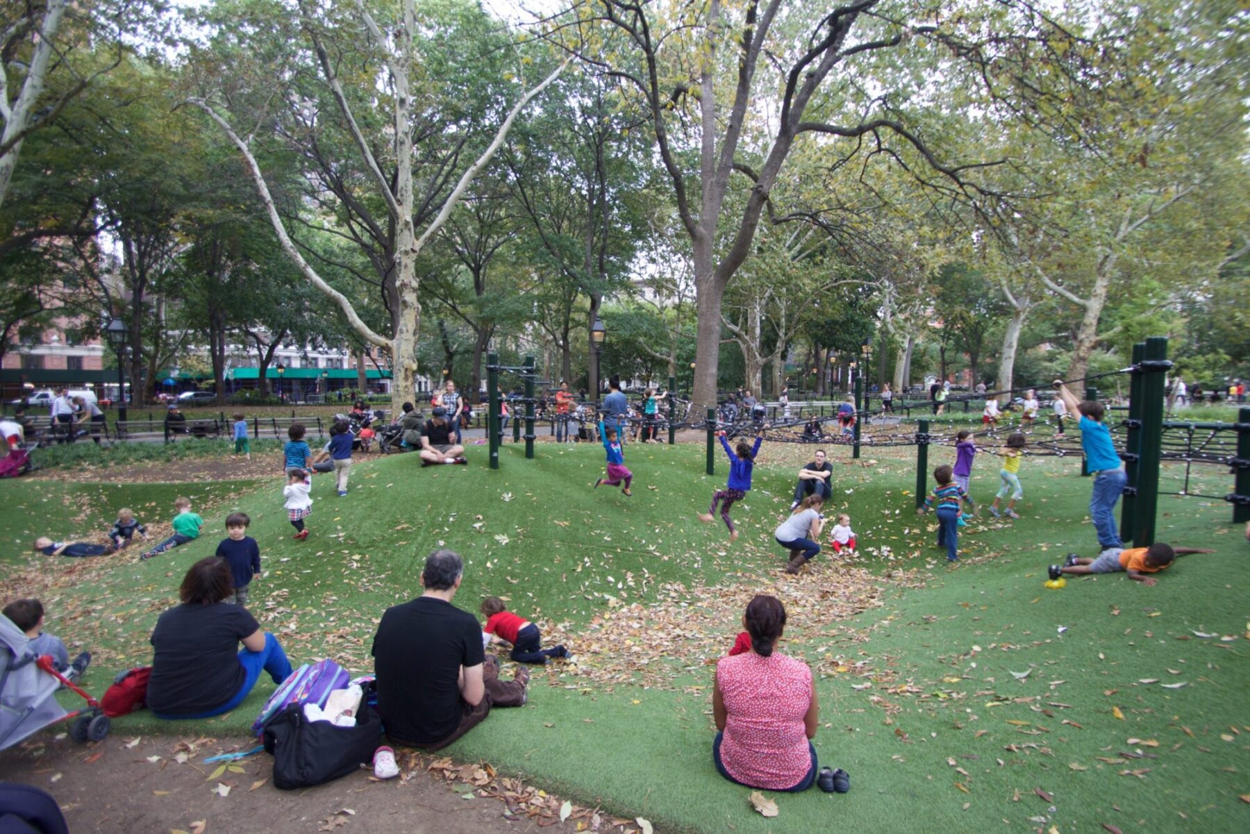 artificial grass for new york park