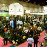 Synlawn convention show, artificial grass, turf