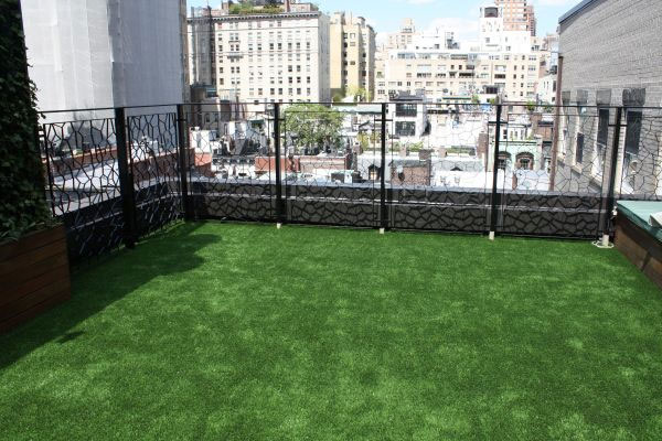 affordable artificial lawn, new york
