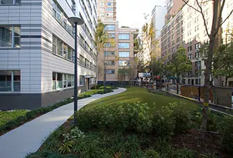 artificial grass for new york apartments
