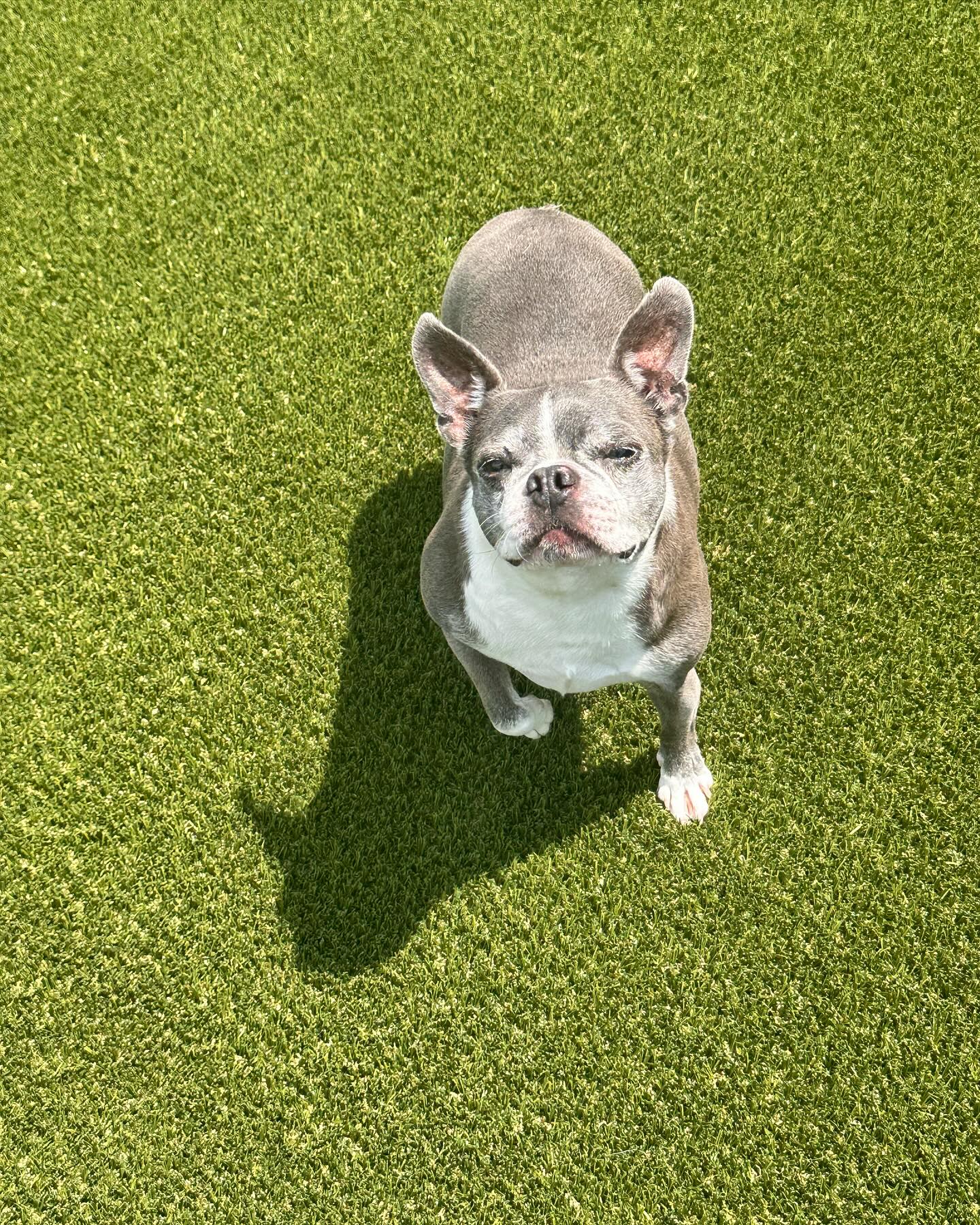 455129527_17910251012994727_3687242994700530556_n