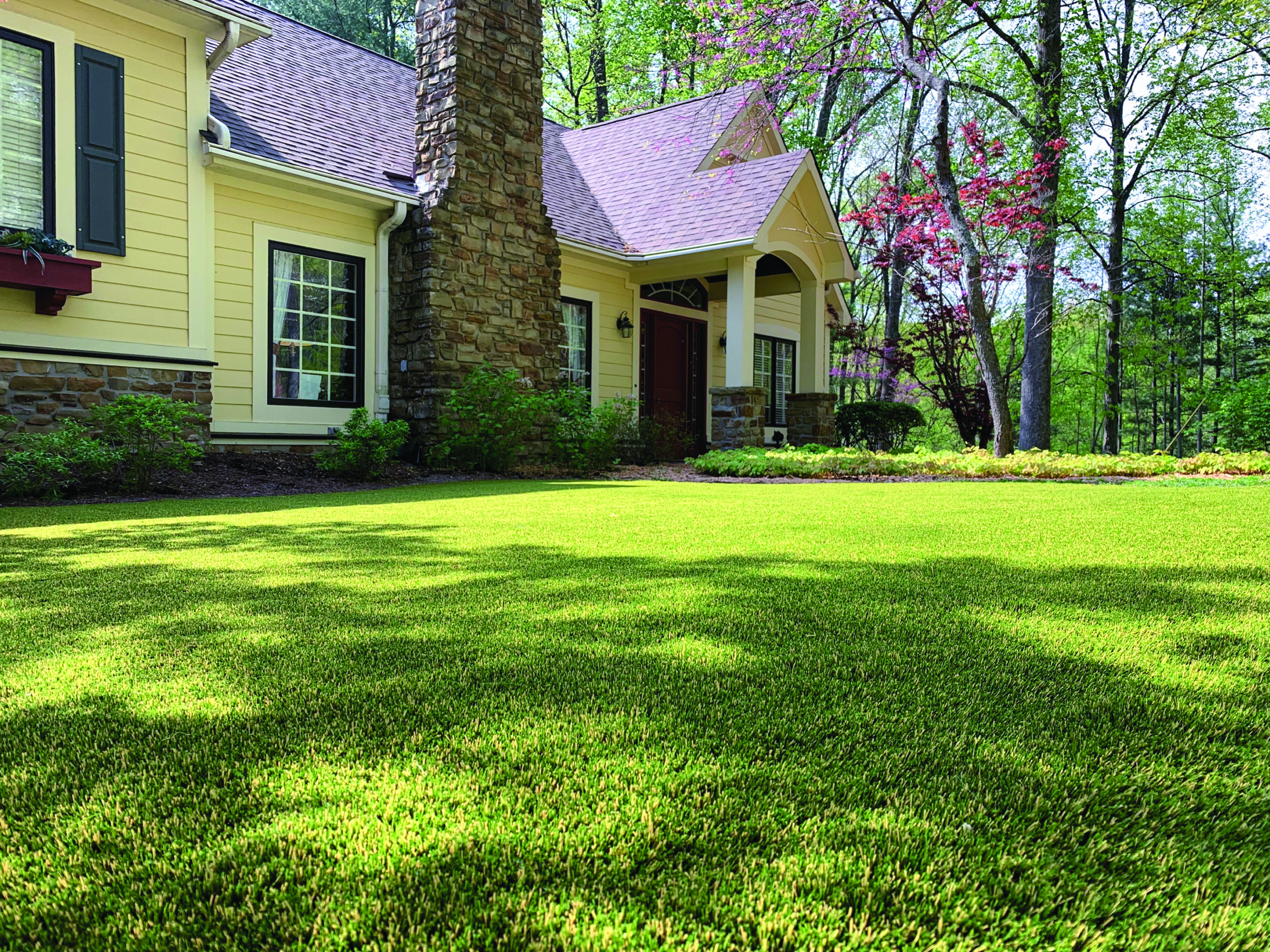SYNLawn New York artificial turf lawn